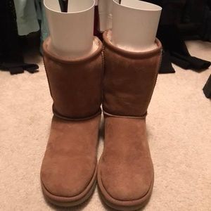 Size 8 classic short authentic uggs- chestnut